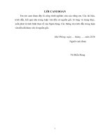 Hoàn thiện hoạt động tín dụng đối với khách hàng doanh nghiệp của ngân hàng liên doanh việt – nga, chi nhánh hải phòng giai đoạn 2016 – 2020 