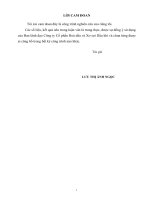 Xây dựng chiến lược kinh doanh công ty cổ phần hóa dầu và xơ sợi dầu khí giai đoạn 2016 2020 