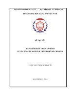 Biện pháp phát triển mô hình tuyến xe buýt xanh (bus rapid transit – BRT) tại thành phố hồ chí minh 