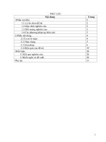 Kinh nghiệm hướng dẫn học sinh giải bài tập chương kim loại trong chương trình hóa học lớp 9 