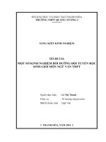 Một số kinh nghiệm bồi dưỡng đội tuyển học sinh giỏi môn ngữ văn THPT 