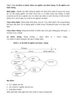 Đề cương ôn thi môn dinh dưỡng