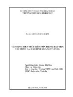 Vận dụng kiến thức liên môn trong dạy học tác phẩm đại cáo bình ngô, ngữ văn 10 