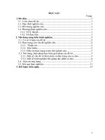 Một số kinh nghiệm dạy học thể loại ca dao trong chương trình ngữ văn 10   THPT 