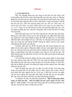 Một số biện pháp nhằm nâng cao hiệu quả đọc – hiểu tác phẩm văn học nước ngoài cho học sinh 12 – ban cơ bản  