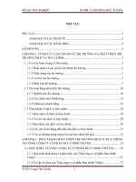 THỰC TRẠNG PHÁT TRIỂN THỊ TRƯỜNG DỊCH VỤ BƯU CHÍNH TẠI TỔNG CÔNG TY CỔ PHẦN BƯU CHÍNH VIETTEL