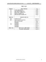 Rèn luyện kỹ năng giải phương trình vô tỉ và một số giải pháp khắc phục sai lầm trong giải phương trình vô tỉ 