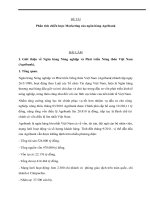 Phân tích chiến lược marketing của ngân hàng agribank