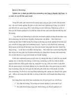 Nghiên cứu và đánh giá chiến lược marketing của công ty honda việt nam  và so sánh với các đối thủ cạnh tranh