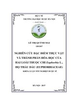Nghiên cứu đặc điểm thực vật và thành phần hóa học của hai loài thuộc chi euphorbia l , họ thầu dầu (euphorbiaceae) 