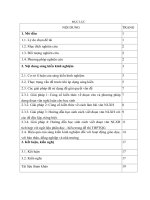 Kinh nghiệm hướng dẫn học sinh lớp 12 viết đoạn văn nghị luận xã hội trong đề thi THPT quốc gia tại trường THPT nguyễn quán nho 