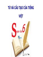 Bài 1. Từ và cấu tạo của từ tiếng Việt