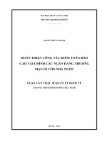 Hoàn thiện công tác kiểm toán báo cáo tài chính các ngân hàng thương mại có vốn nhà nước 