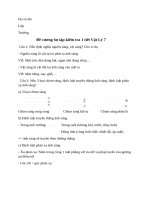 Đề cương ôn tập kiểm tra vật lý 7 lần 1