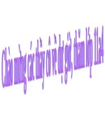 Tuần 12. Hạnh phúc của một tang gia