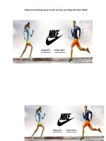 Phân tích mô hình quản trị đa văn hóa của hãng thể thao NIKE 