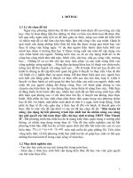 Rèn luyện kĩ năng vận dụng hệ bất phương trình bậc nhất hai ẩn vào việc giải quyết các bài toán thực tiễn cho học sinh trường THPT như thanh 2 