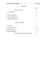 Một vài kinh nghiệm giúp học sinh giải tốt phương trình vô tỉ 