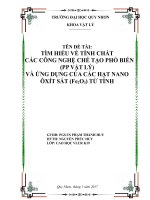 TÌM HIỂU VỀ TÍNH CHẤT CÁC CÔNG NGHỆ CHẾ TẠO PHỔ BIẾN (PP VẬT LÝ) VÀ ỨNG DỤNG CỦA CÁC HẠT NANO ÔXÍT SẮT (Fe2O3) TỪ TÍNH