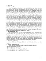 Giúp học sinh lớp 11 tính nhanh bài toán tính khoảng cách từ một điểm đến một mặt phẳng, bài toán tính khoảng cách giữa hai đường thẳng chéo nhau bằng cách sử dụng tứ diện vuông 