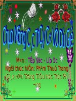 Tuần 9. Đất Cà Mau