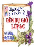 Bài 13. Dấu ngoặc đơn và dấu hai chấm