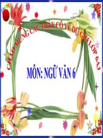 Bài 10. Danh từ (tiếp theo)