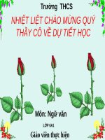 Bài 26. Câu trần thuật đơn