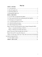 Phương pháp giải nhanh một số dạng bài toán về axit nitric ở lớp 11 THPT 