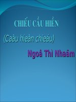 Tuần 7. Chiếu cầu hiền (Cầu hiền chiếu)