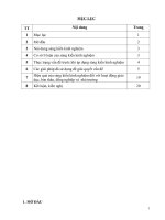 Hướng dẫn học sinh THPT sử dụng đường thẳng và đường tròn trong mặt phẳng để giải và biện luận một số hệ phương trình và hệ bất phương trình đại số 