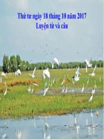 Tuần 9. Đại từ