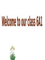 Unit 03. My friends. Lesson 2. A closer look 1