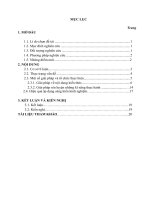 Nâng cao năng lực làm văn nghị luận góp phần rèn luyện kỹ năng sống cho học sinh trung học phổ thông trong thời kỳ hội nhập 