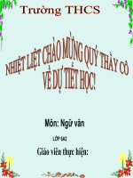 Bài 20. Bức tranh của em gái tôi