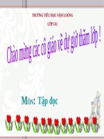 Tuần 8. Kì diệu rừng xanh