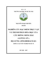 Nghiên cứu đặc điểm thực vật và thành phần hóa học của cây riềng meng hai (alpinia SP ), họ gừng (zingiberaceae) 
