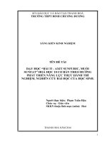 Dạy học “bài 33 – axit sunfuric, muối sunfat” hoá học 10 cơ bản theo định hướng phát triển năng lực thực hành thí nghiệm, nghiên cứu bài học của học sinh 