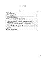 skkn sử dụng và khai thác đồ dùng trực quan trong dạy bài 20 xây dựng và phát triển văn hóa dân tộc trong các thế kỷ x XV lịch sử lớp 10  chương trình chuẩn 