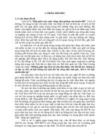 Sử dụng di sản văn hóa phi vật thể tiêu biểu tại địa phương trong dạy học lich sử lớp 10 THPT dân tộc nội trú tỉnh 