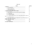 Phương pháp tổ chức trò chơi trong dạy chưng III phần 2 lịch sử lớp 12 ban cơ bản nhằm nâng cao hiệu quả bài học  