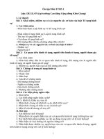 CAU HOI ON THI TO TUNG HINH SU