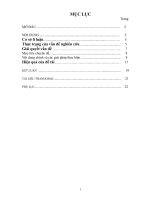 Dạy   học lịch sử địa phương( tiết 51)   lớp 10 qua chuyển đề khởi nghĩa bà triệu và quần thể di tích   lễ hội đền bà triệu 