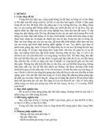 Một số biện pháp nhằm nâng cao hiệu quả giảng dạy kiểu dữ liệu mảng, tin học 11 ở trường THPT lam kinh 