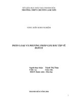 Phân loại và phương pháp giải bài tập về PEPTIT 