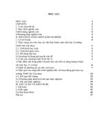 Một số phương án cải tiến cách làm trong các tiết thực hành phần chuyển hóa vật chất và năng lượng ở thực vật sinh học 11 cơ bản tại trường THP 