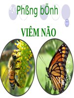 Bài 14. Phòng bệnh viêm não