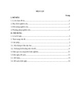 skkn một số kinh nghiệm dạy câu lệnh lặp trong chương trình tin học 11 