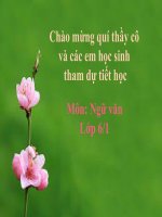 Bài 10. Ếch ngồi đáy giếng