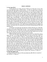 Sử dụng kênh hình trong giảng dạy và ôn tập phần biến dị ở cấp độ tế bào, sinh học 12 nâng cao 